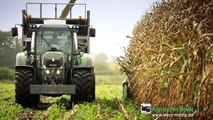 FENDT Tractors in Action | Claas Jaguar 980 | Im Einsatz | Chopping Maize | AgrartechnikHD
