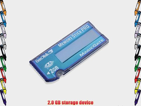 SanDisk SDMSV-2048-A10 2.0 GB Memory Stick Pro (Retail Package)