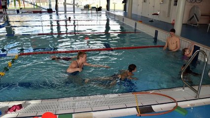 Dutch SwimBee Zwemschool