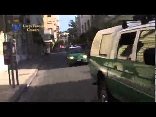 Cosenza - Operazione 'Carta Valore'. Cdf sequestra marche da bollo falsificate (24.06.15)