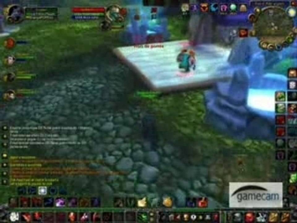 wow druide pvp