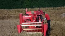 Massey Harris/Ferguson 735 Combining Oats