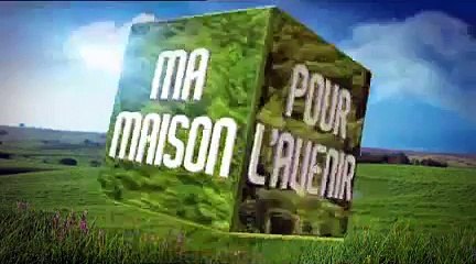 Poêle et insert à granules de bois