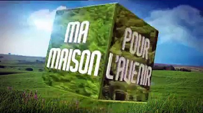 Poêle et insert à granules de bois