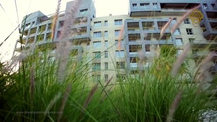 Dream Palm Residence - The Perfect Home