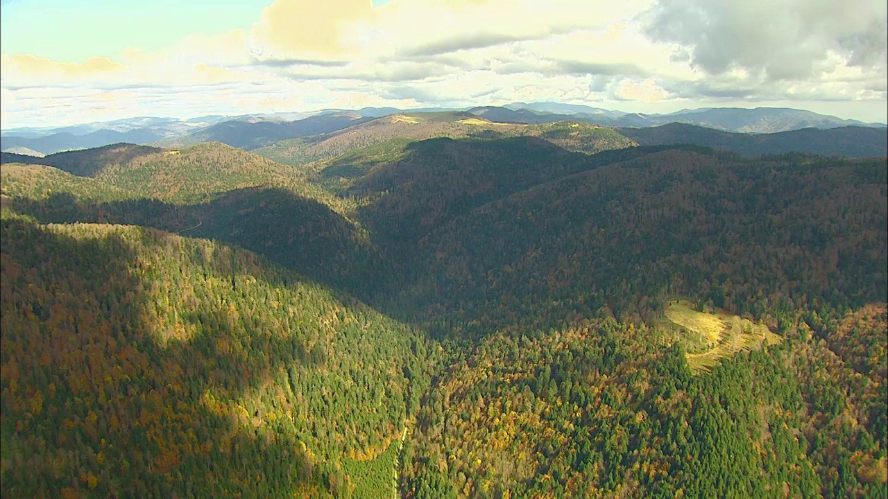 La Lorraine des montagnes est formidable !