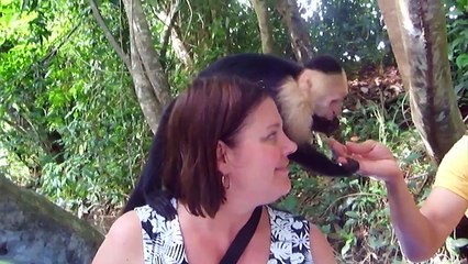 Monkey Pee, Monkey Do!