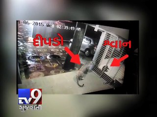 Mumbai Panic as leopard venture into Borivali society - Tv9 Gujarati