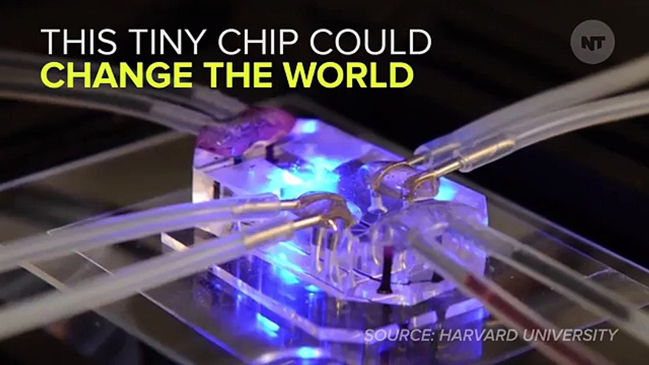 The Microchip That Could End Animal Testing