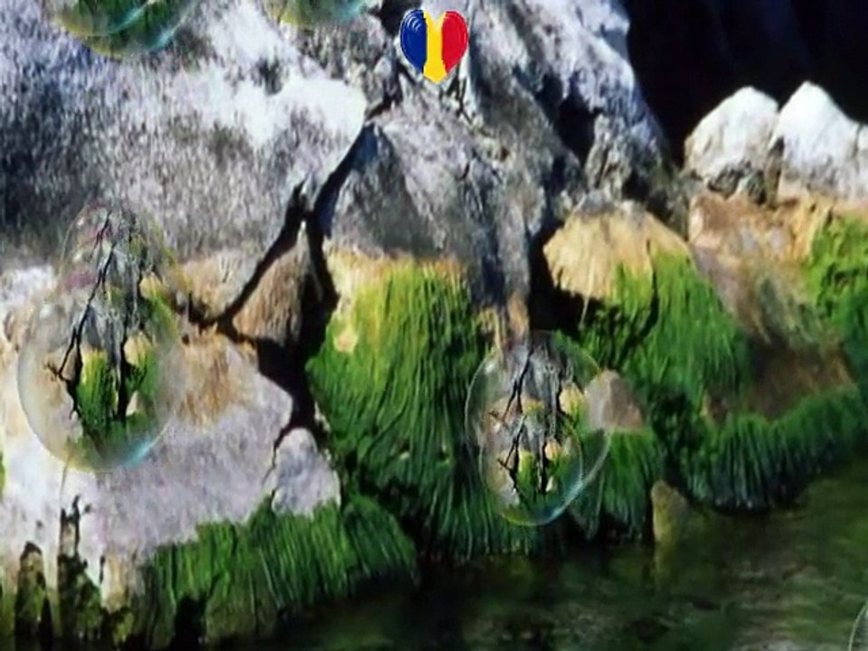 Si-asa-mi vine cateodata-Doina si Ion Aldea Teodorovici