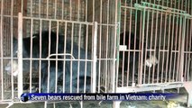 Seven bears rescued from bile farm in Vietnam: charity