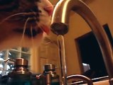 Cat drinking water from a faucet in slow motion