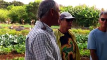 Farm Tour and Kupu Maui Dinner at Kupa'a Farms 10/20/12