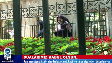 Camii, Türbe ve Kabir Ziyaretleri