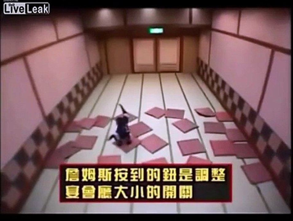 ลิง กับ หมา โดนหนีบ