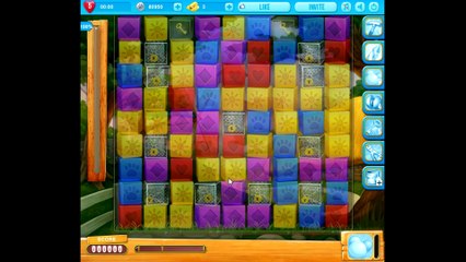 Pet Rescue Saga level 988 NO BOOSTERS