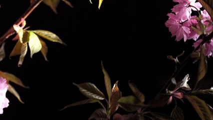 Les coulisses de la collection Givenchy automne-hiver 2015-2016 en vidéo