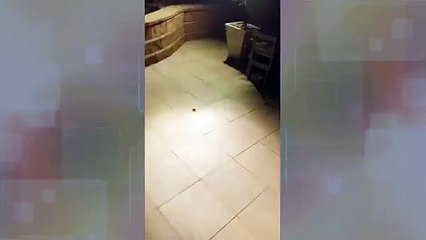 Mira lo que le salió a este hombre al matar a una araña