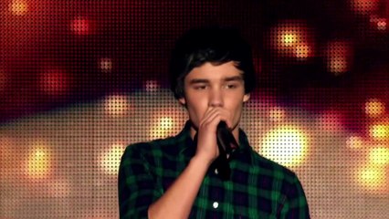 Liam Payne Voice Change