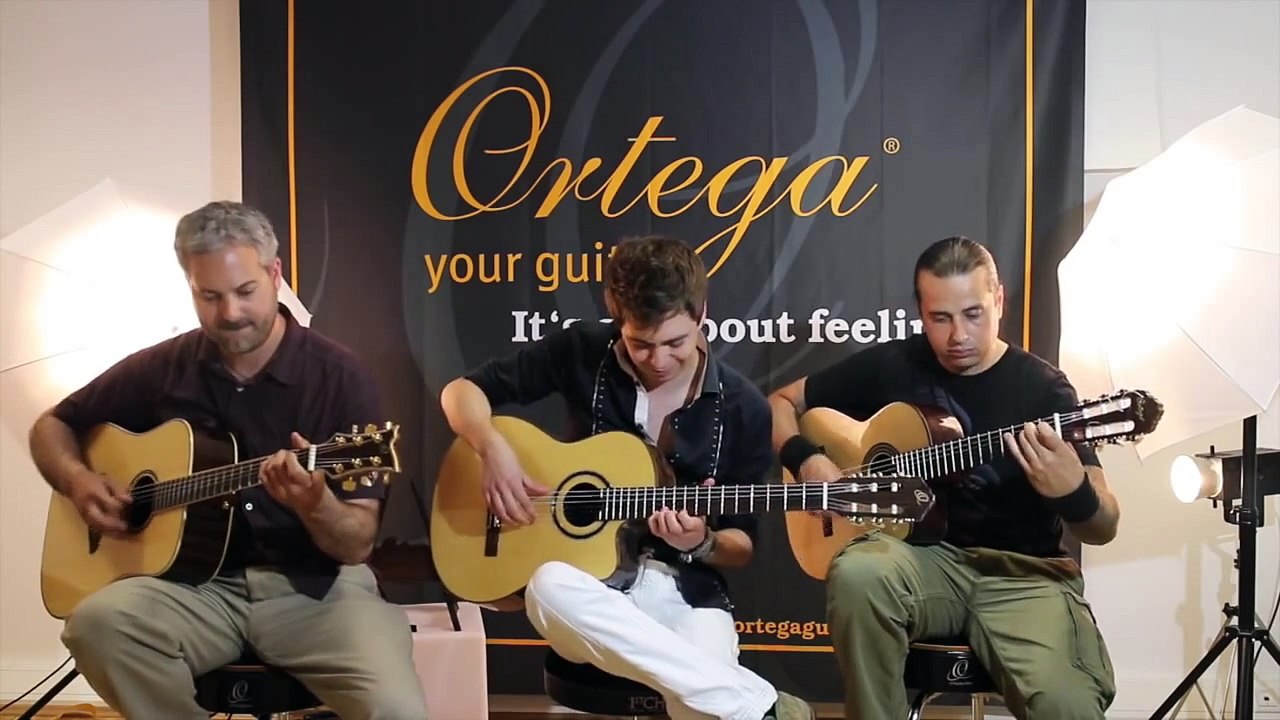 Dance Of Death (Iron Maiden) Acoustic - Thomas Zwijsen, Ben Woods & Glenn Roth (Master Guitar Tour)