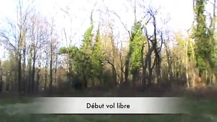 Affaitage faucon, autour, de la filière au vol libre