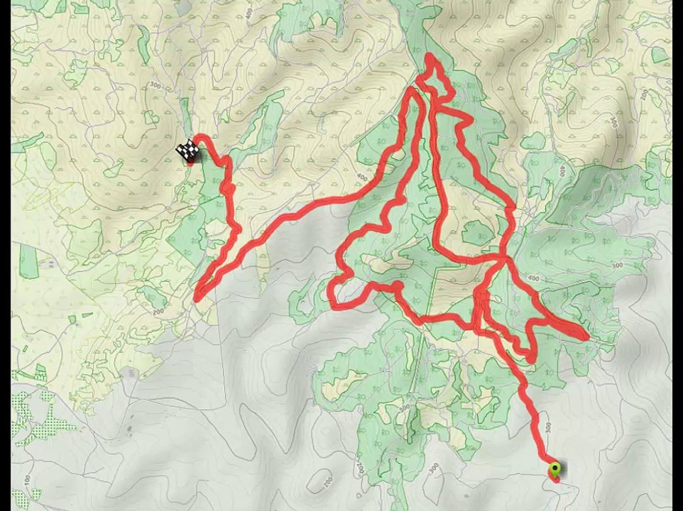 WRC rally cerdeña 2015 camara interior Especial 2-8. Grighine Sud