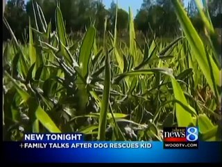 Mom- Dog saved baby son from drowning