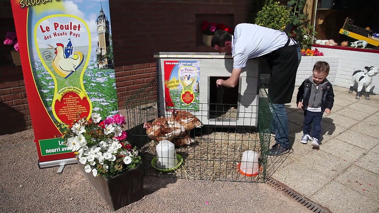 Reportage sur la présentation de la nouvelle marque d' oeufs à la boucherie "Avenue du Boeuf"