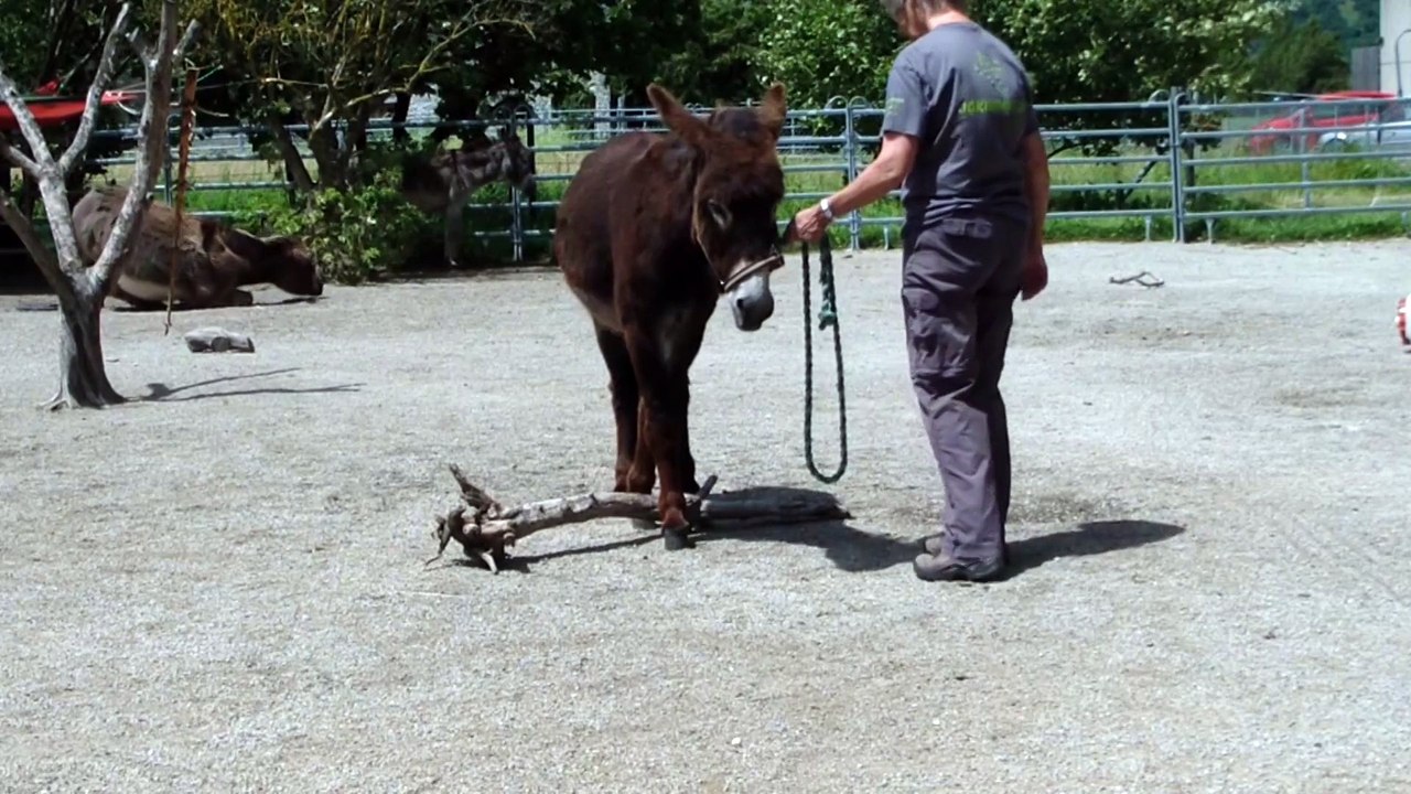 Exercice 11 Barnabé