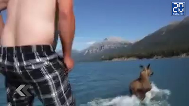 Il chevauche un élan sauvage ! - Le Rewind du Jeudi 25 juin 2015