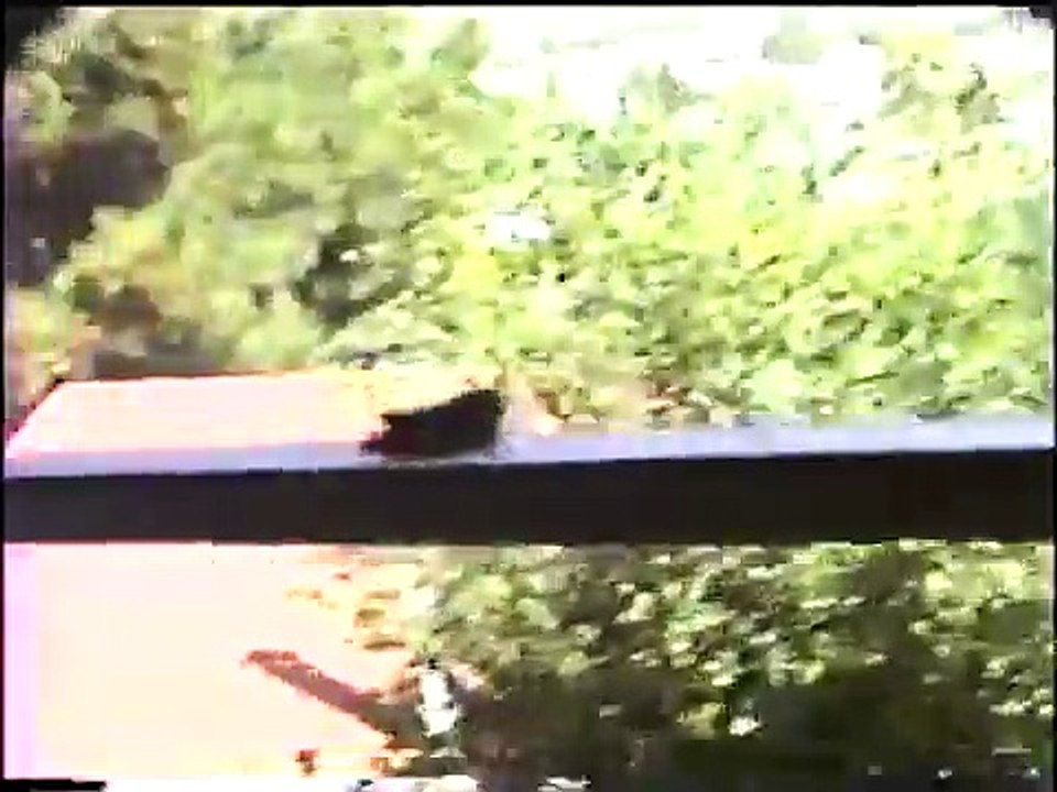 Oakland Fire \\\\ 1991 With police scanner audio