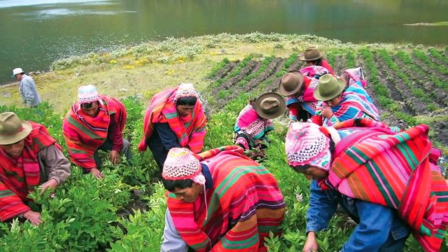 Sustainable Agriculture