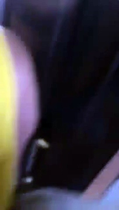 video-1435243319.mp4