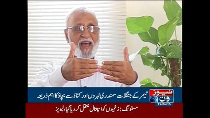 Mangroves oxygen for life