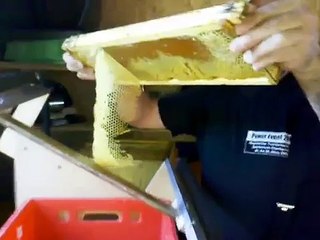 Entdeckelungsmaschine mit Dampf HWE-MASCHINE