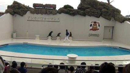 水族舘紀行その５　鴨川シーワールド　アシカショー　前編