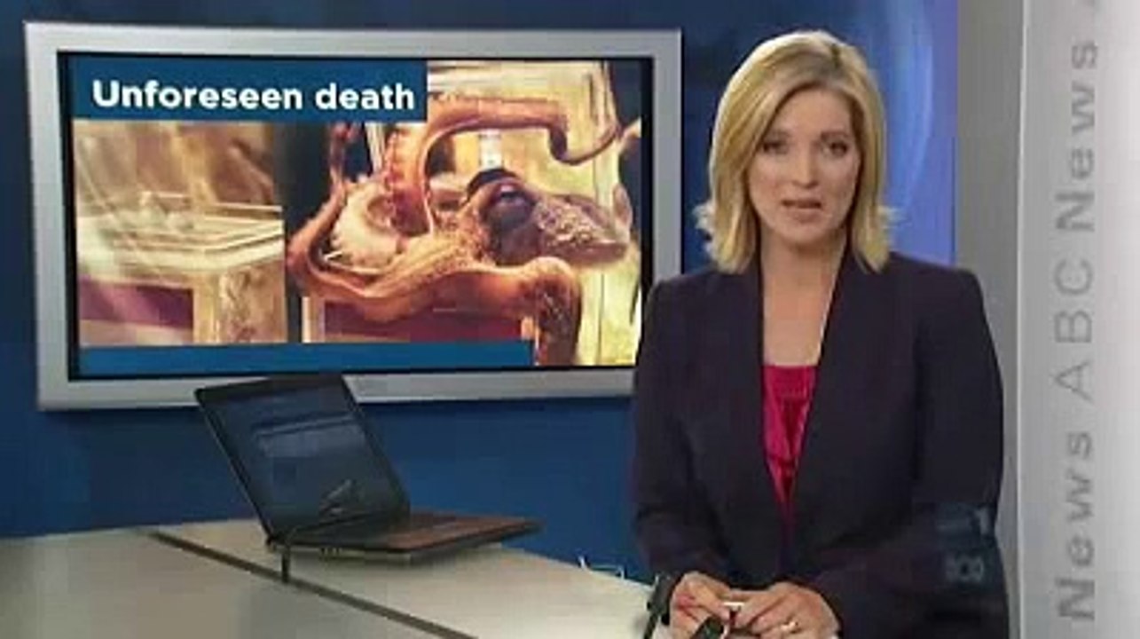 Paul the octopus found dead