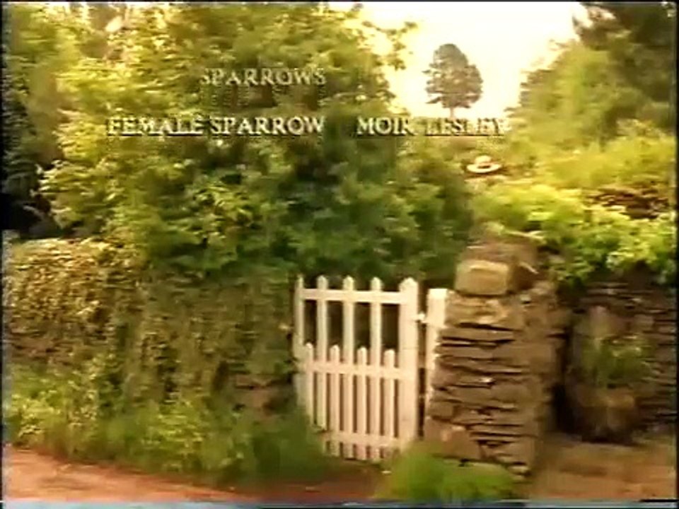 Perfect Day - Miriam Stockley - Peter Rabbit Video