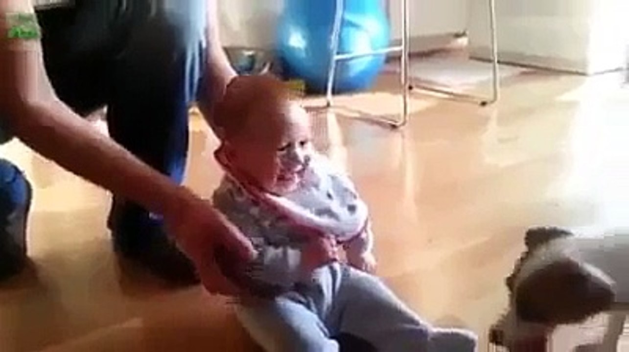 Babies VS Dogs