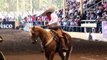 Las 5 Mejores Calas de caballo – LXX Congreso y Campeonato Nacional Charro Jalisco 2014