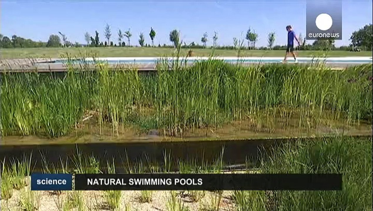 Naturteich als Alternative zum Chlorbad