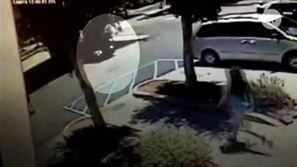 Girl Helps Her Sister Roll Out Of Moving Car Mid-Theft