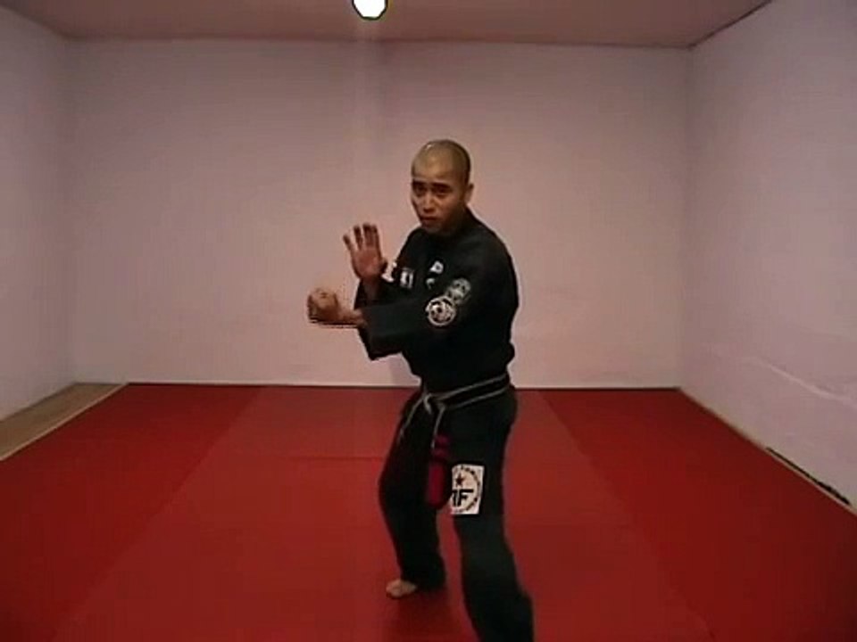 CASA DE KENPO - AMERICAN KENPO - LONG FORM 2