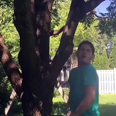 Respect Trees and Save Environment - Best Comedy Videos