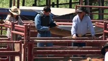 Behind the Scenes - Bull RIding.mov