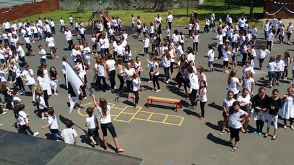 Bayeux : 500 élèves offrent un flashmob surprise à leur directrice