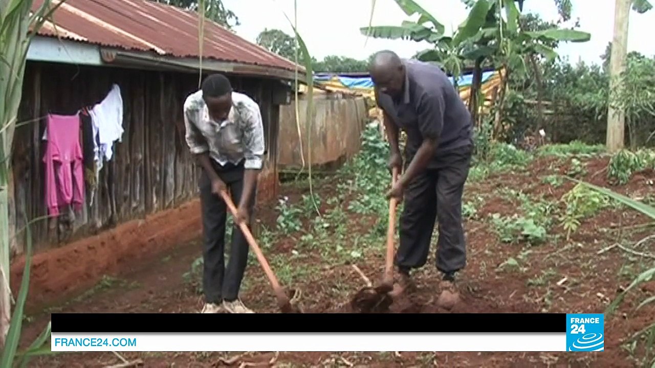 Kenya's vicious circle: Terrorism and counter-terrorism