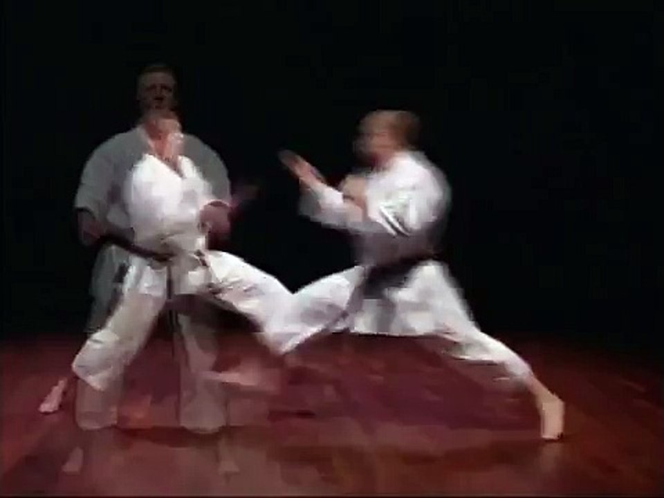 Born Fighter - Dave Hazard