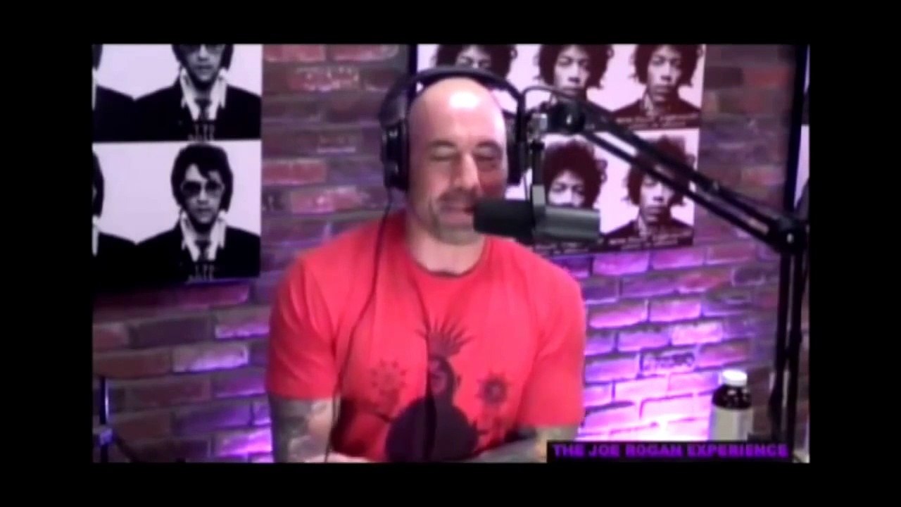 Joe Rogan: Anti-Gay 'Afraid Dicks Are Delicious'
