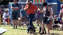 2013 Pride Fair Day Brisbane - Farmer Dave hosting Dog Events